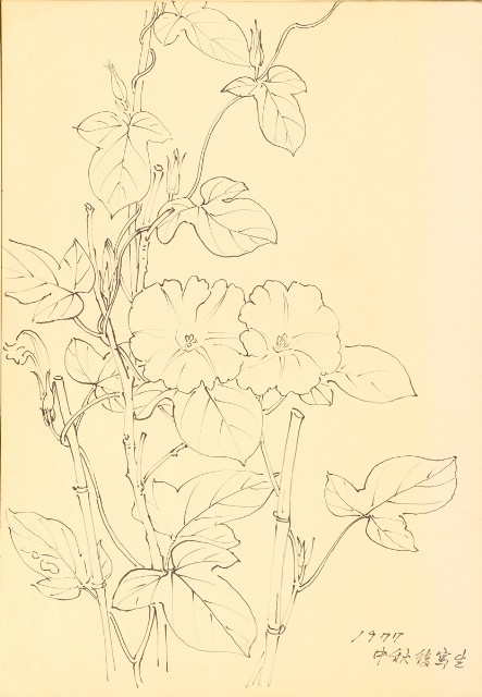 藏品:Flowers and Birds Life Drawing Collection 014的(26)張圖片