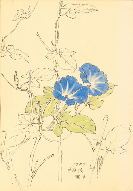 藏品:Flowers and Birds Life Drawing Collection 014的(12)張圖片