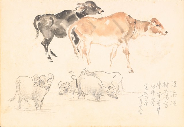 藏品:花、牛、泰國景、印度人等寫生集015的(17)張圖片