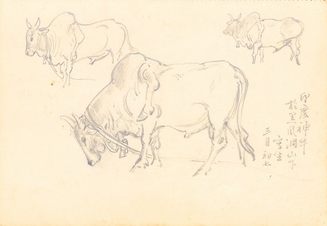 藏品:花、牛、泰國景、印度人等寫生集015的(36)張圖片