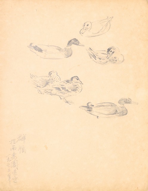 藏品:鷹、兔、鴨、獅等018的(26)張圖片
