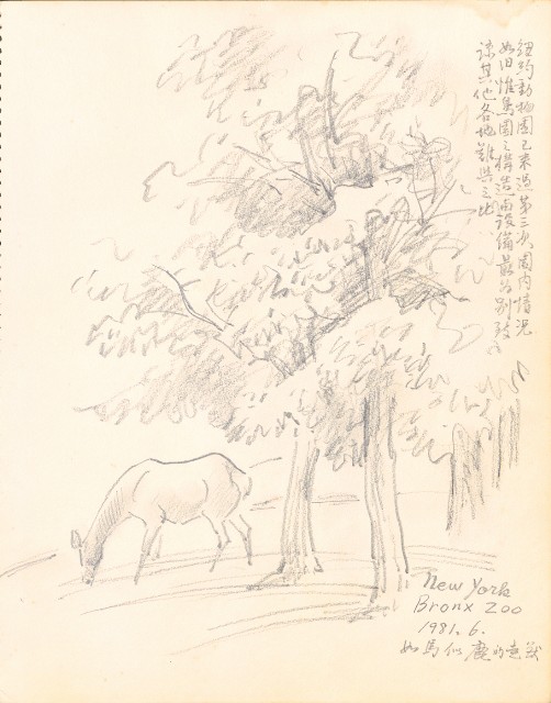 藏品:Tigers, Lions, Flowers, Birds, the Grand Canyon, Boars, Old Tree Trunks 019的(23)張圖片