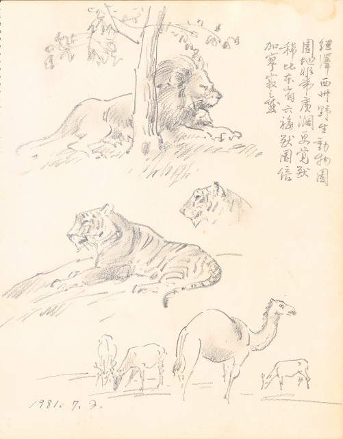 藏品:虎、獅、花、鳥、大峽谷、山豬、老樹幹019的(9)張圖片