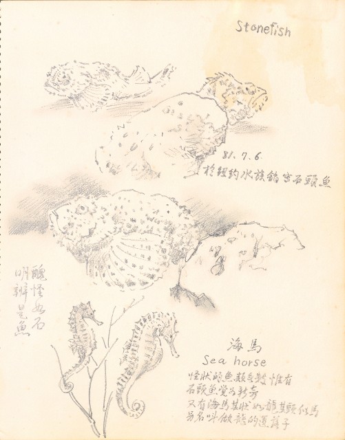 藏品:Tigers, Lions, Flowers, Birds, the Grand Canyon, Boars, Old Tree Trunks 019的(5)張圖片