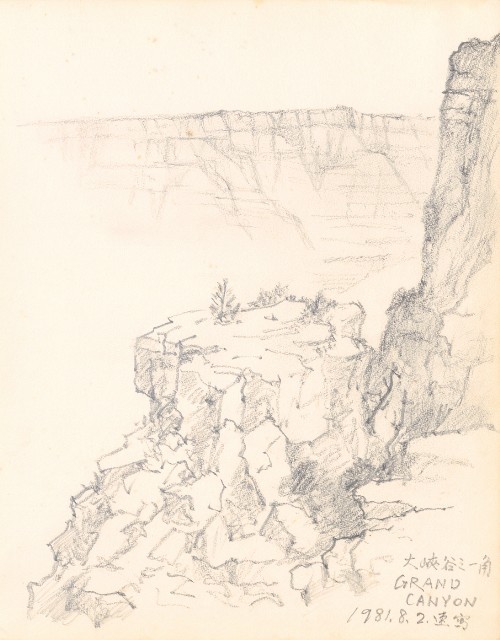 藏品:Tigers, Lions, Flowers, Birds, the Grand Canyon, Boars, Old Tree Trunks 019的(16)張圖片