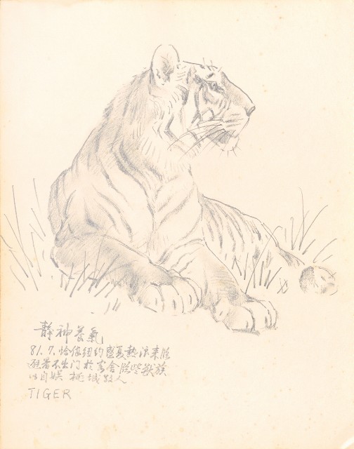 藏品:Tigers, Lions, Flowers, Birds, the Grand Canyon, Boars, Old Tree Trunks 019的(19)張圖片