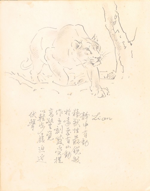 藏品:Tigers, Lions, Flowers, Birds, the Grand Canyon, Boars, Old Tree Trunks 019的(10)張圖片