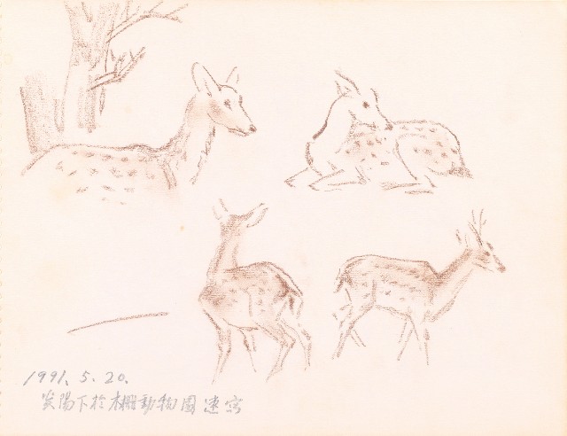 藏品:山、海、海岸、秀姬夫婦、牛、鹿、松樹021的(22)張圖片