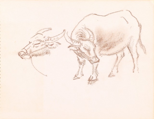 藏品:山、海、海岸、秀姬夫婦、牛、鹿、松樹021的(24)張圖片
