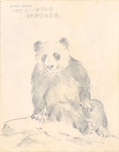 藏品:1975-1980年間威尼斯康新、溪頭、野生動物園等地025的(17)張圖片