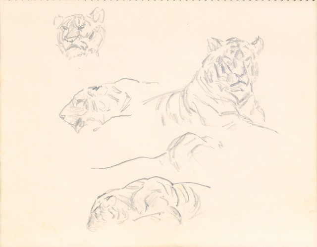 藏品:1975-1980年間威尼斯康新、溪頭、野生動物園等地025的(36)張圖片