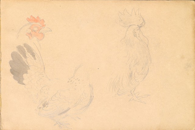 藏品:雞、花、鄉村、荷葉、木棉花等026的(11)張圖片