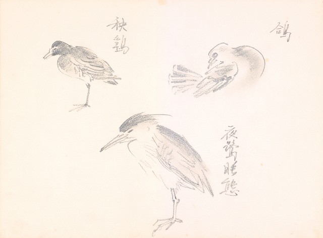 藏品:夜鷺及鴿(炭描)的(1)張圖片