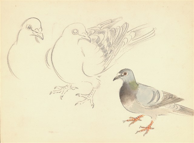 藏品:(1)鴿;(2)石碇風景(水墨)的(1)張圖片