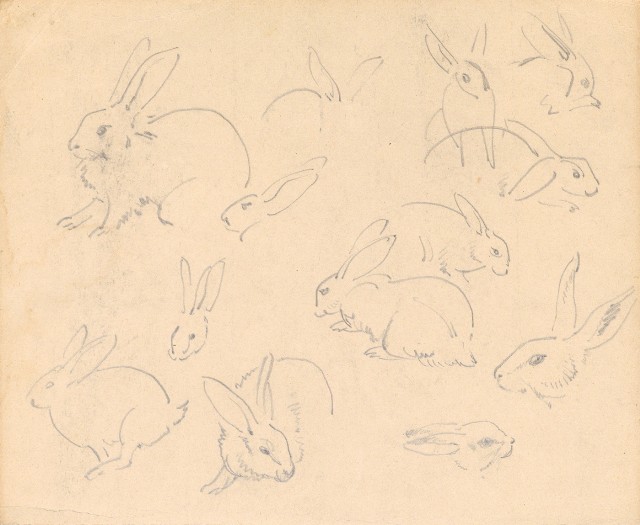 藏品:(1)帰魚;(2)兔(各種型態)的(1)張圖片
