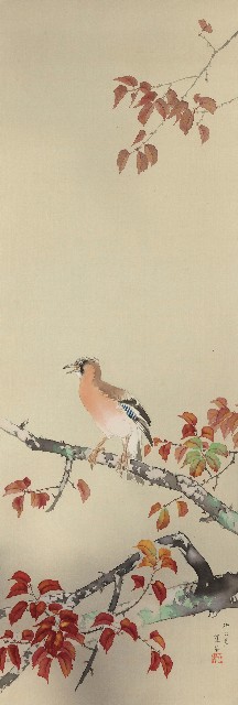 藏品:秋葉橿鳥的(1)張圖片