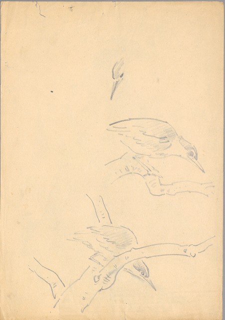 藏品:(1)鷲(魚鷹);(2)小鳥(夜鷺)的(3)張圖片