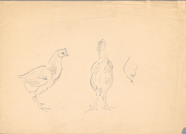 藏品:(1) Pheasants; (2) Chicken的(1)張圖片