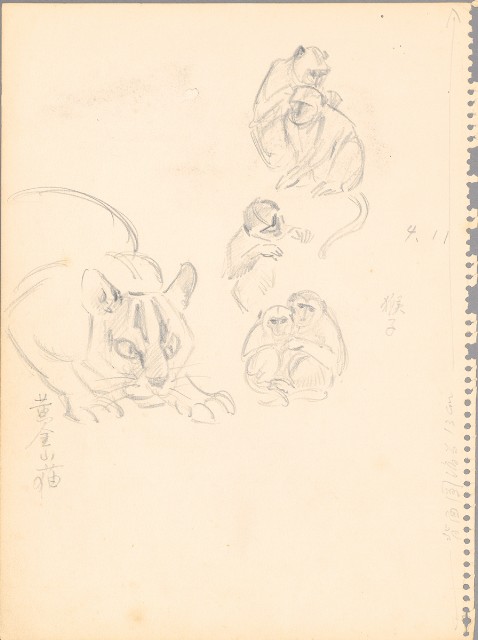 藏品:(1)夜鷺；(2)黃金山貓、猴子的(3)張圖片