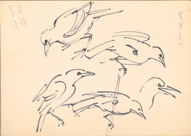 藏品:(1) Yellow-Eared Bird; (2) Monkey的(3)張圖片