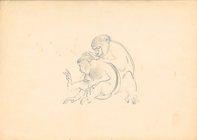 藏品:(1)黃耳鳥；(2)猴子的(3)張圖片