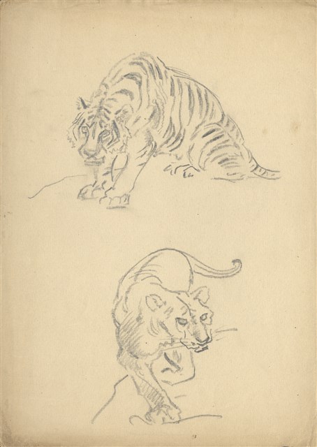 (1)虎一坐一獅；(2)老虎坐姿的焦點圖