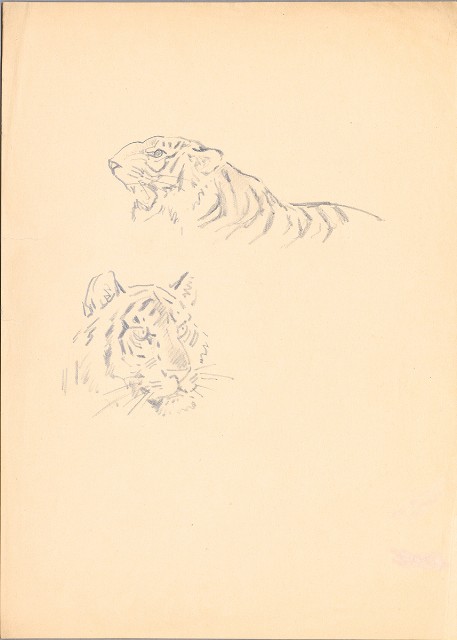 兩頭虎的焦點圖