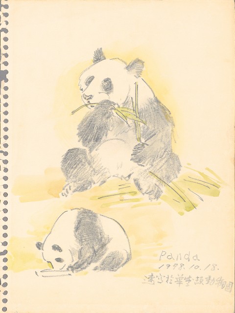 Panda的焦點圖
