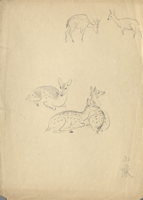 藏品:(1)小鹿；(2)日本短雞的(3)張圖片