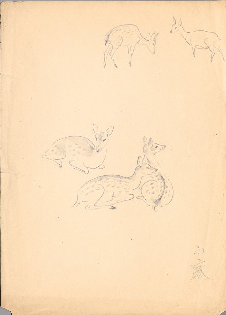 藏品:(1)小鹿；(2)日本短雞的(2)張圖片
