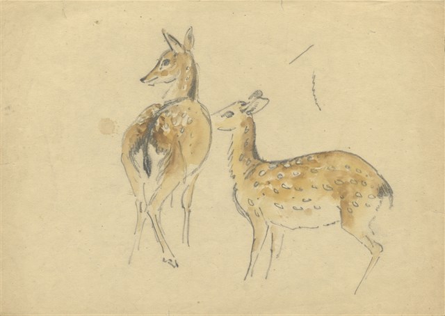 藏品:(1)母鹿（彩）；(2)公鹿的(3)張圖片