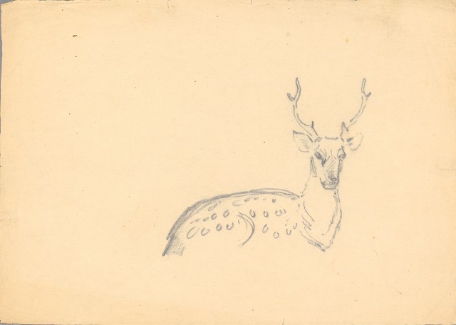 藏品:(1)母鹿（彩）；(2)公鹿的(1)張圖片