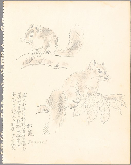 藏品:(1)松鼠；(2)鷺鷥的(3)張圖片