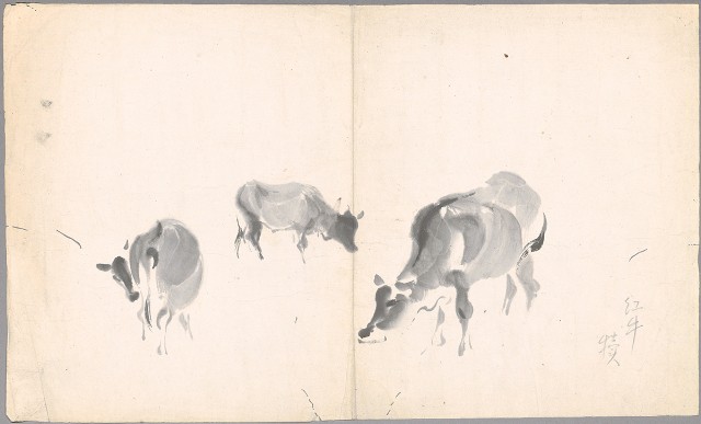 藏品:三紅牛的(1)張圖片
