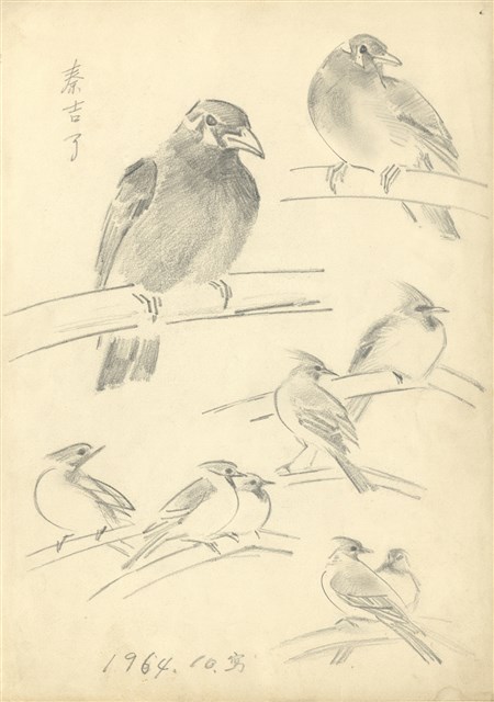 藏品:(1)秦吉了、紅冠鳥；(2)小鸚鵡及紅冠鳥的(1)張圖片