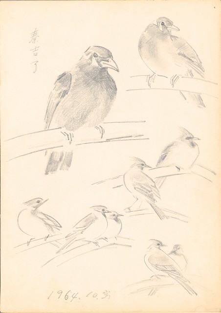 藏品:(1)秦吉了、紅冠鳥；(2)小鸚鵡及紅冠鳥的(2)張圖片