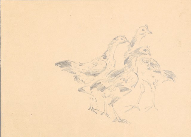 藏品:(1)鬪雞（一對）；(2)鬪雞（三隻）的(1)張圖片