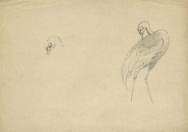 藏品:(1)鶴；(2)小水鴨的(3)張圖片