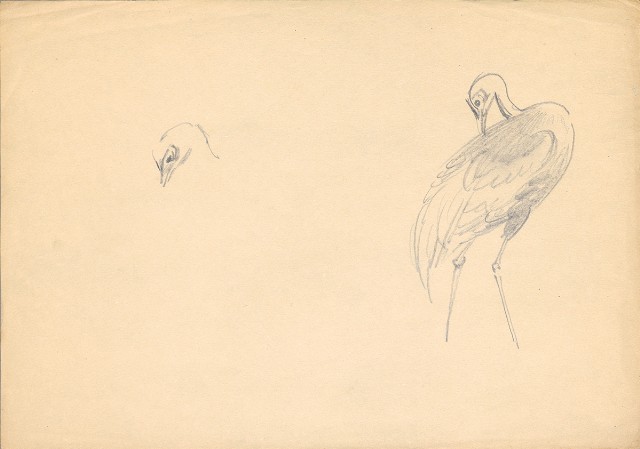 藏品:(1)鶴；(2)小水鴨的(2)張圖片
