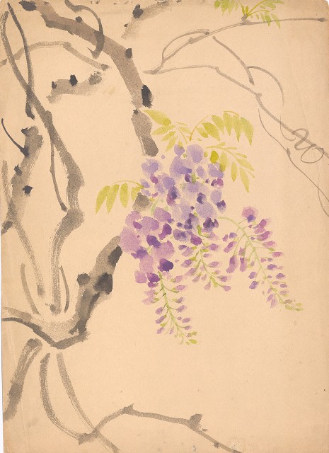 藏品:(1)紫藤花；(2)雄鴛鴦頭的(3)張圖片