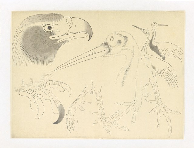 藏品:川端習畫臨稿 (鷹、鶴)的(1)張圖片