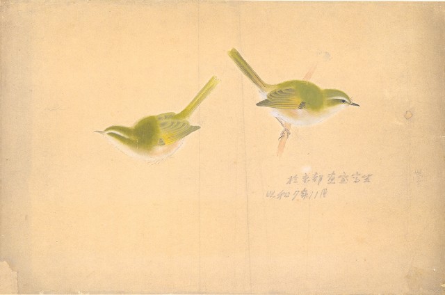 (1)鳥；(2)鳥的焦點圖