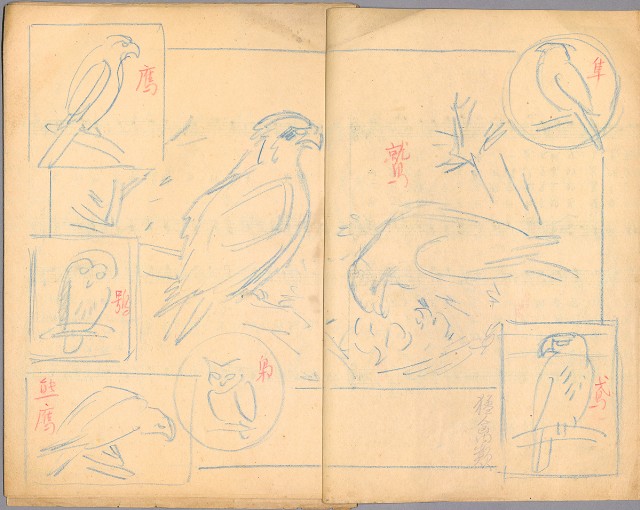 藏品:兒童繪本-禽類篇035B的(4)張圖片