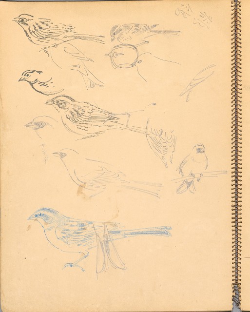 藏品:鳥、花、機械044的(6)張圖片