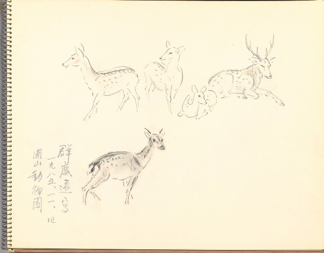 藏品:鷺、羊、鹿、海景等049的(18)張圖片