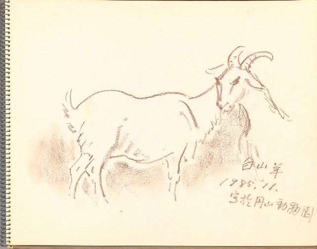 藏品:鷺、羊、鹿、海景等049的(19)張圖片