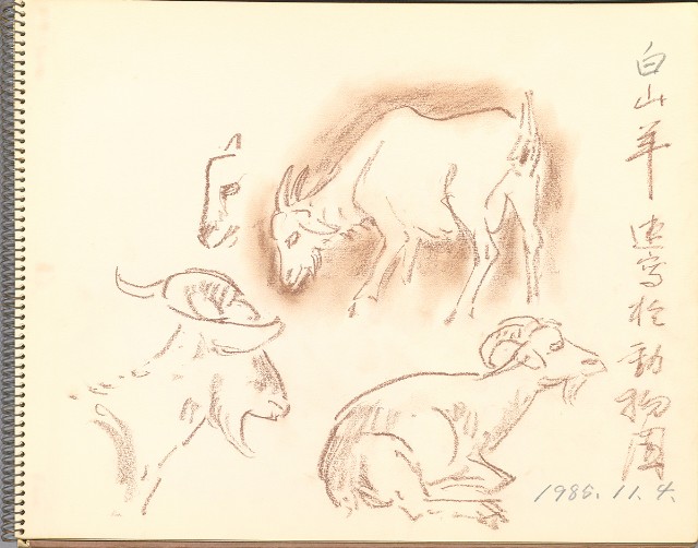 藏品:鷺、羊、鹿、海景等049的(20)張圖片