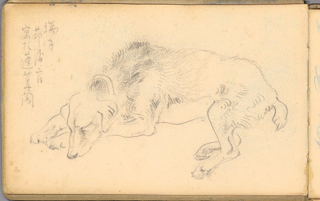 藏品:日籍時期婦女及狼犬等058的(12)張圖片