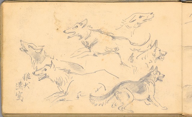 藏品:日籍時期婦女及狼犬等058的(22)張圖片