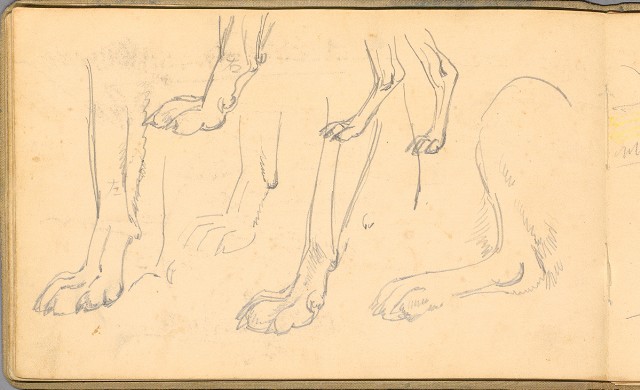 藏品:日籍時期婦女及狼犬等058的(30)張圖片